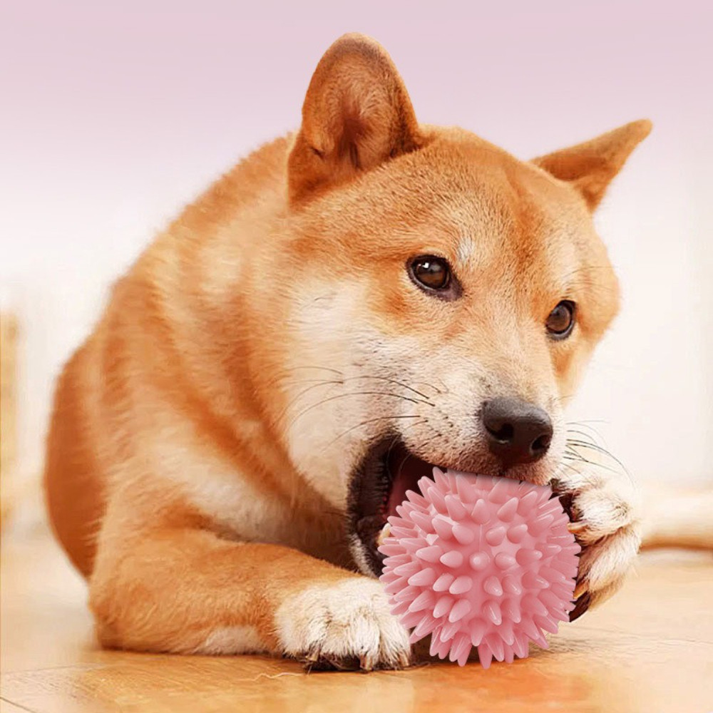 Squeaky ของเล่นสุนัข Spky Dog Balls ทําความสะอาดฟันและส่งเสริมการทันตกรรมและ Gum Health สําหรับสัตว์