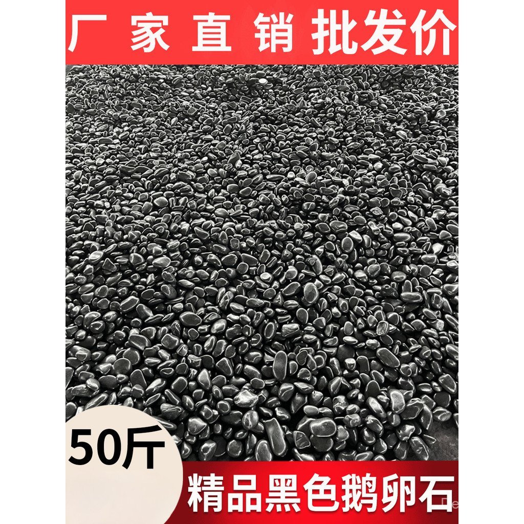 สีดําขนาดใหญ่ขนาดเล็ก Pebbles Pebbles Pebbles Paving ธรรมชาติปูหินสีดําภูมิทัศน์ Catty Garden 50 หิน