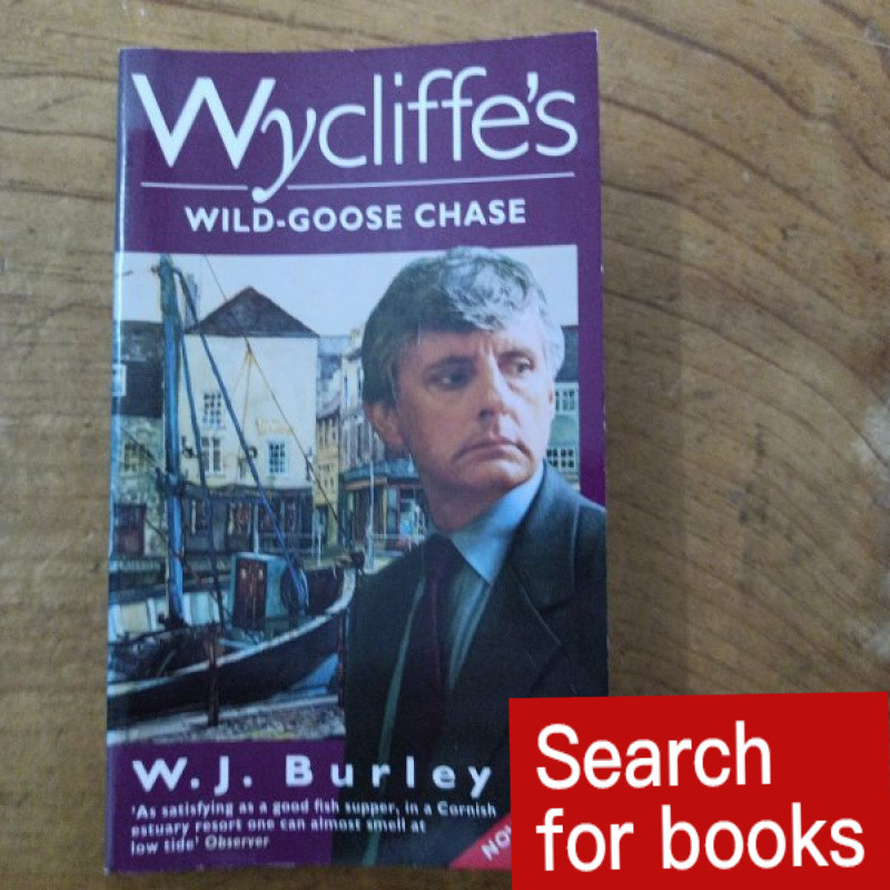 หนังสือภาษาอังกฤษ WYCLIFFE S WILD -GOOSE CHASE a5 มือสอง
