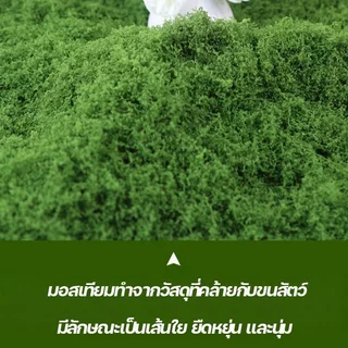 แผ่นมอสปลอม แผ่นมอสเทียม เสื่อมอสจำลอง สีเขียวสมจริง ตัดแต่งง่าย ใช้งานได้ยาวนาน ตกแต่งบ้านและสวน