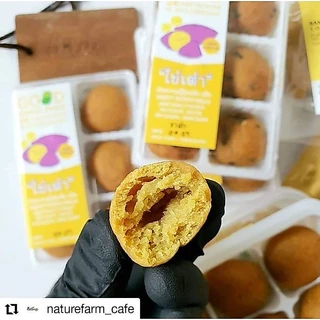 ขนมไข่เต่า ❌ไร้แป้ง ❌ไร้น้ำตาล เนื้อนุ่ม ทำจากมันหวานญี่ปุ่น 100% รีวิวเพียบการันตีความอร่อย!!