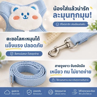 PawTica สายจูงแมวรัดอก เสื้อจูงแมวหมา น่ารักสุดๆ ลายหมี/กระต่าย น้ำหนักเบา ปรับกระชับ ช่วยลดการหลุด สำหรับสัตว์เลี้ยงเล็ก S/M