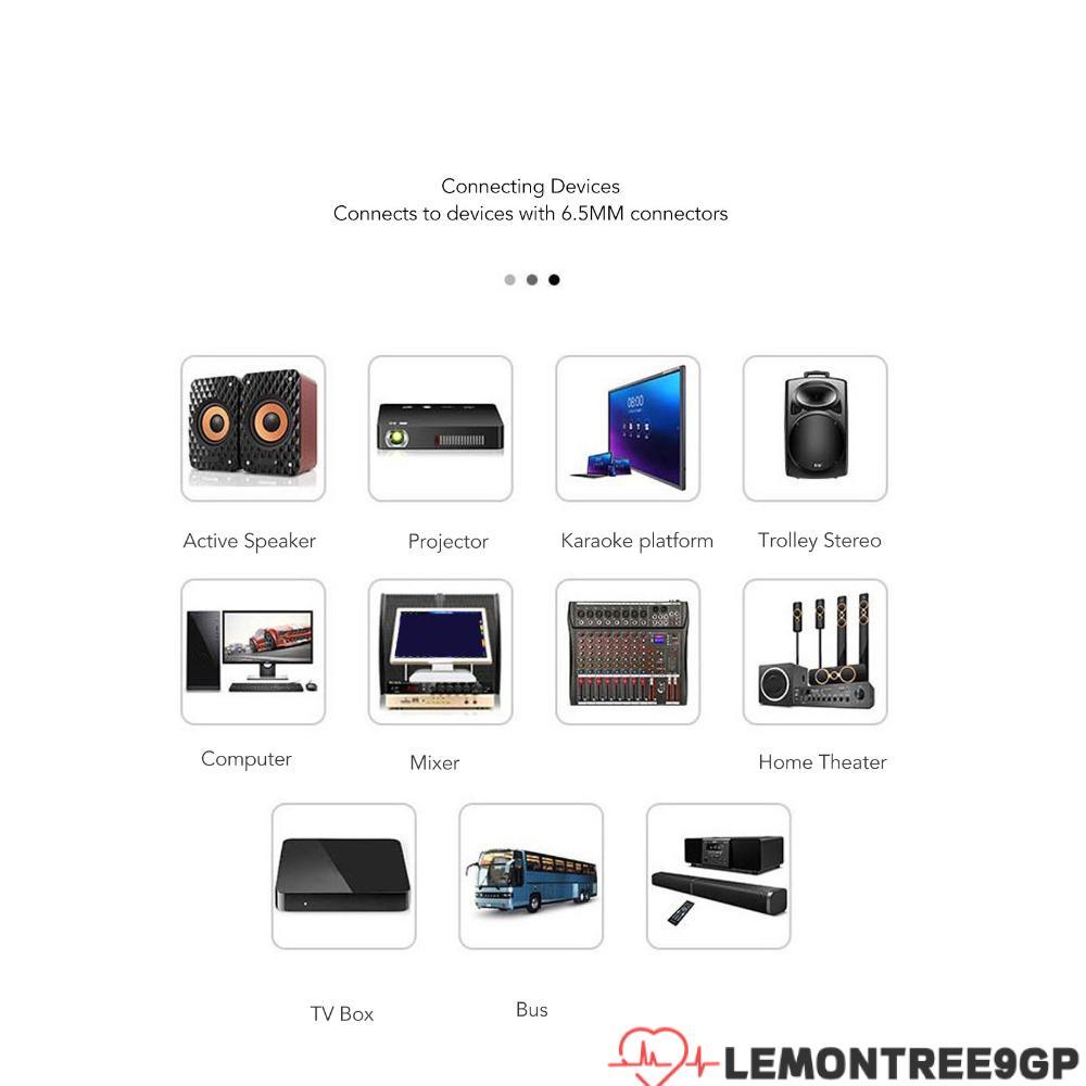 LEMONTREE9GP Dynamic Vocal Microphone, Noise Cancellation 6.5mm Connector ไมโครโฟนแบบมีสายแบบใช้มือถ