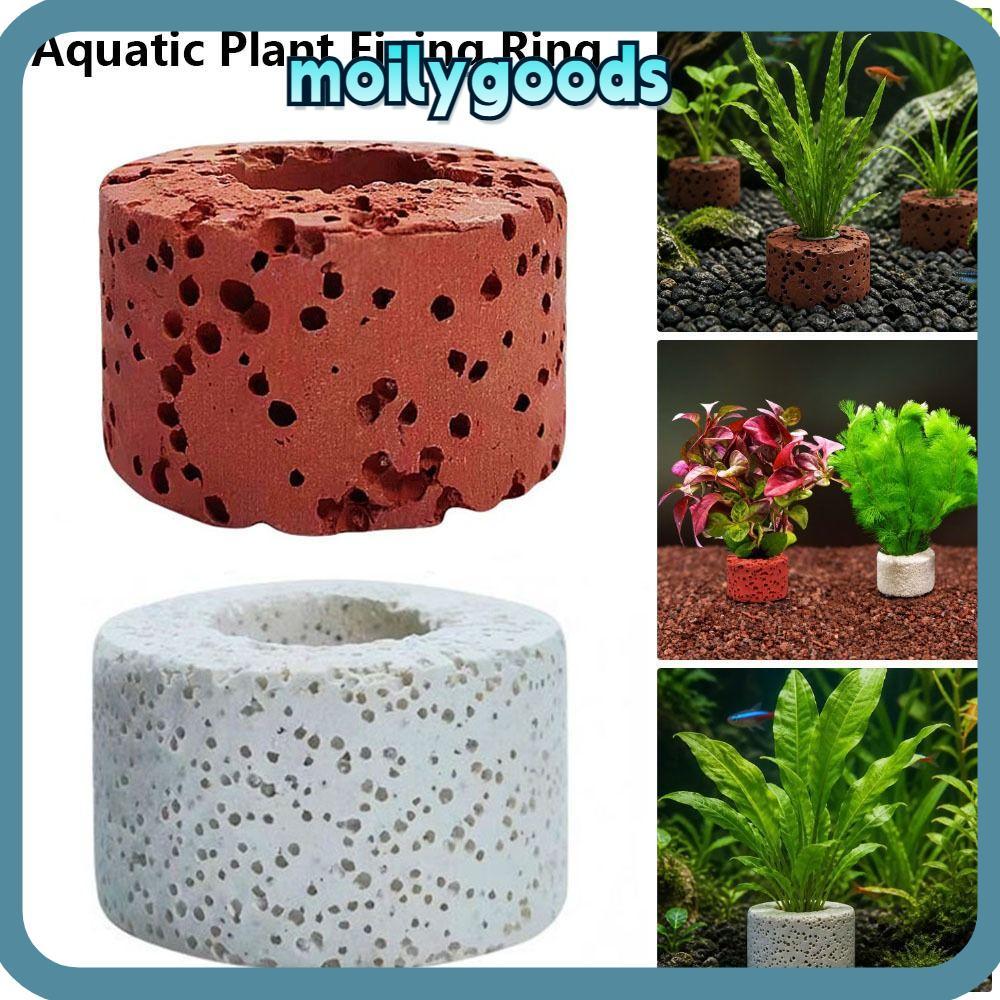 MOILYHD 10 ชิ้น Aquatic Plant Fixing แหวน, As ภาพแสดง Substrate แหวน Aquarium Plant Anchor สําหรับน้
