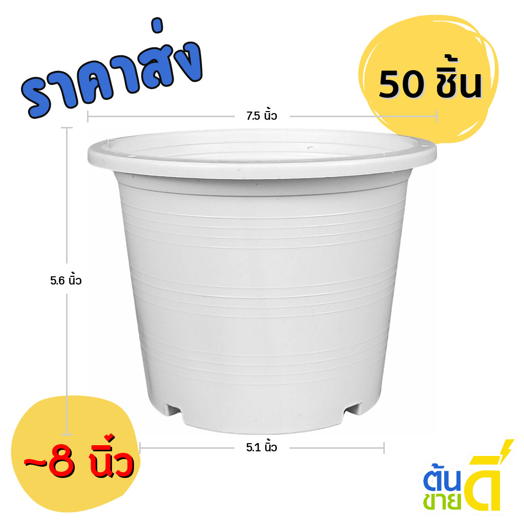 กระถาง กระถางต้นไม้ กระถางขาว เบอร์ 8 7.5 นิ้ว สีขาว 50 ใบ ยกมัด