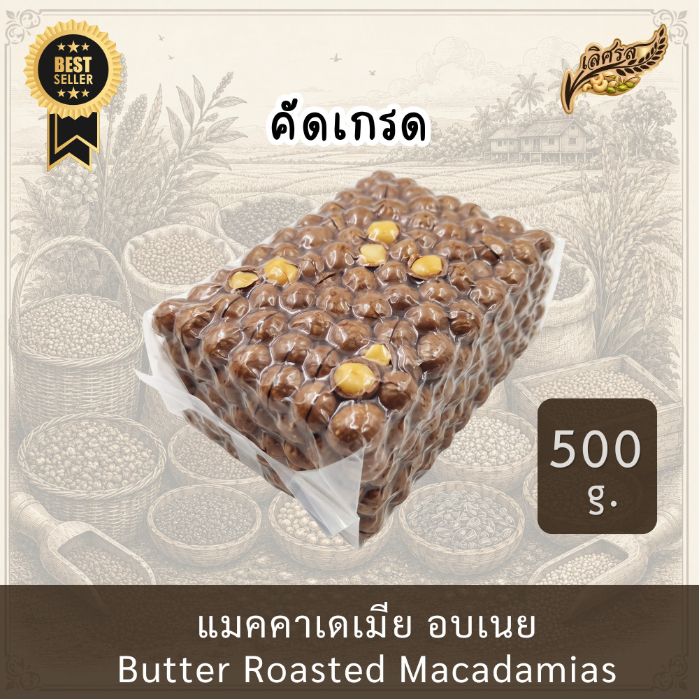 【ส่งฟรี】คัดเกรดAAA Roasted Macadamia Nuts แมคคาเดเมีย เม็ดใหญ่ แมคคาเดเมียอบเนย 500g. แมคคาเดเมียอบ