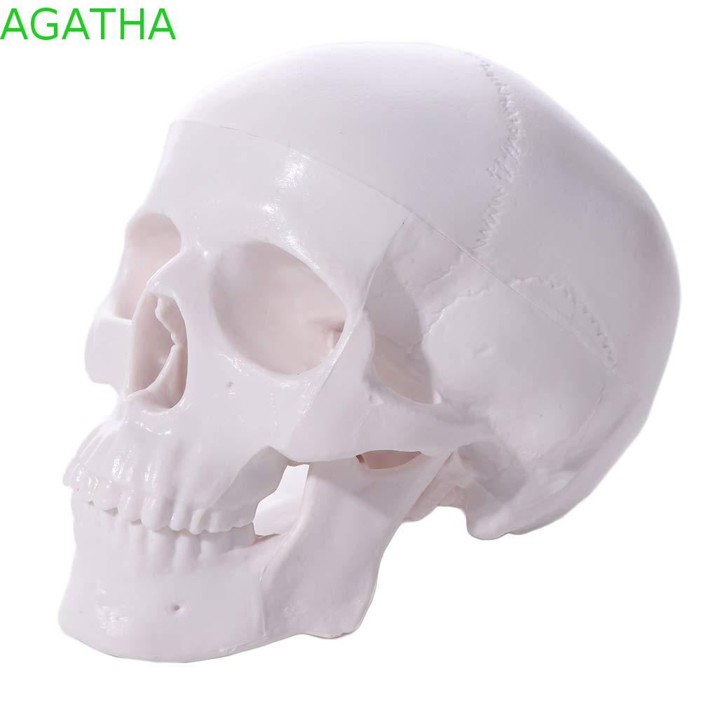 AGATHA Human Head Model, Studying สะดวก Skull Model, 92x99x71mm Mini หมวกกะโหลกศีรษะแบบถอดได้ Anatom