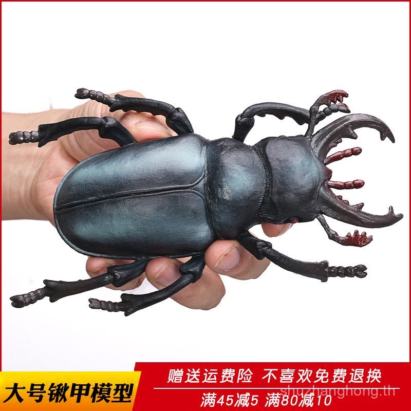 จําลองแมลงของเล่น Stag Beetle รุ่น Stag Beetle เครื่องประดับ