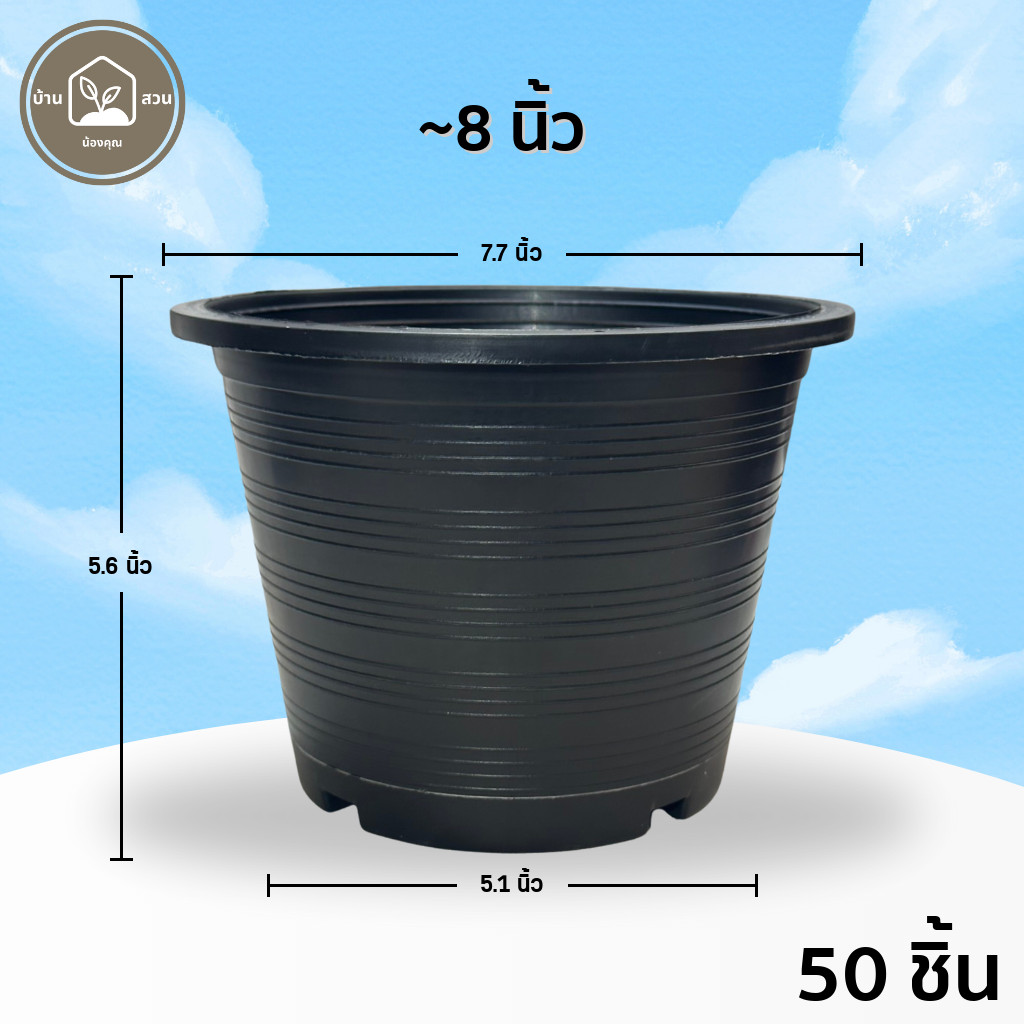 กระถาง 8 นิ้ว พลาสติก ยกมัด ส่งทั่วไทย