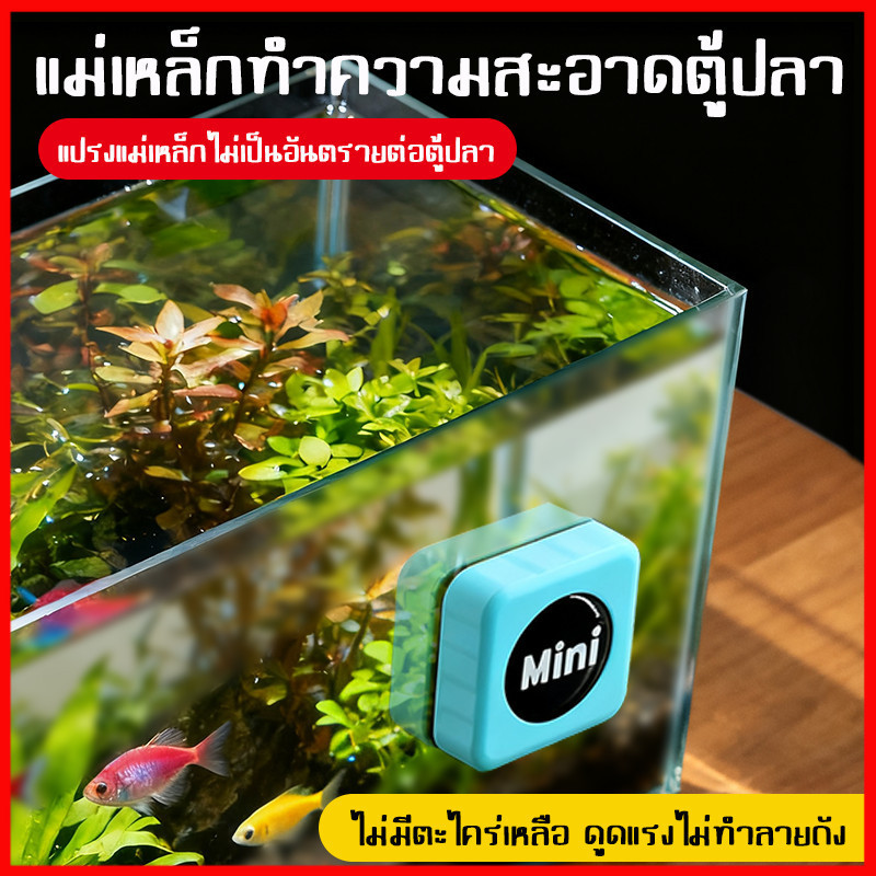⚡พร้อมส่งจากไทย⚡  เเม่เหล็กขัดตู้ปลา  เครื่องมือทำความสะอาดตู้ปลา แปรงแม่เหล็ก ขนาดเล็ก เเก้วหนา ก็ใช้ได้