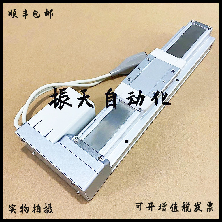 SMC Executor LEFS32A-500-R36N1 LEFS32A-800B-BR363 LEFS32NZB-600B