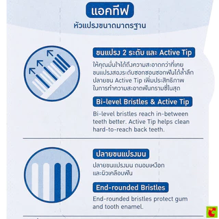 เบอร์แมน แปรงสีฟัน รุ่นแอ็คทีฟ มีเดียม คละสี แพ็ค 2+1