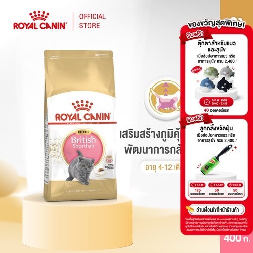 Royal Canin Kitten British Shorthair 2kg อาหารเม็ดลูกแมวพันธุ์บริติช ชอร์ทแฮร์ อายุ4-12เดือน (Dry Cat Food, โรยัล คานิน)