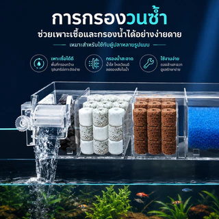 PawTica กรองตู้ปลา กรองแขวน กล่องกรองแขวนตู้ปลาอะคริลิกใส พร้อมปั๊มน้ำ 5W 300L/H รุ่น GD16 GD17 GD19 ระบบเป็นสัดส่วน เพิ่มพื้นที่ใส่วัสดุ