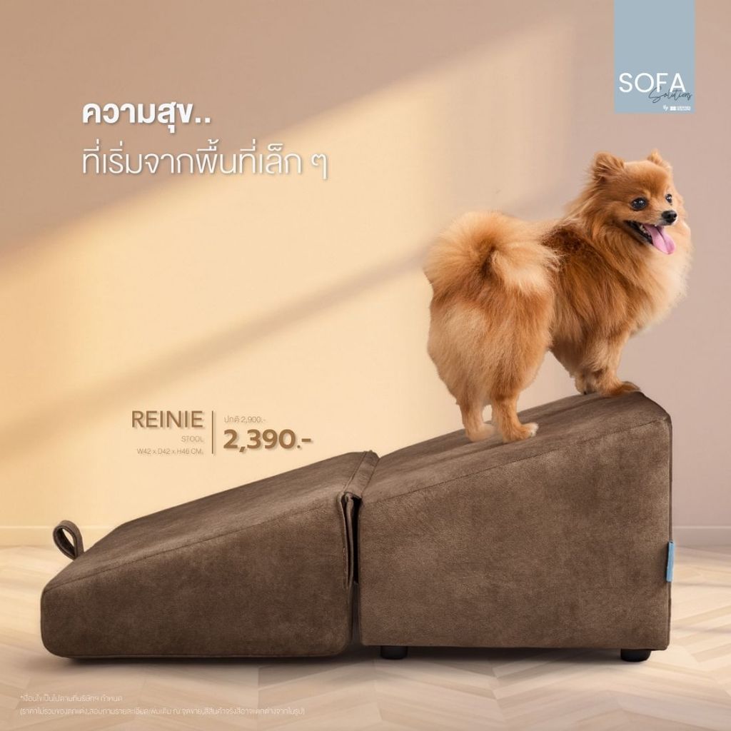 SB Design Square สตูล รุ่น REINIE สีน้ำตาล - PET (42x42x46 ซม.) แบรนด์ SOFA SOLUTIONS