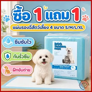 ซื้อ 1 แถม 1🔥 แผ่นรองฉี่สุนัขและสัตว์เลี้ยง ซึมซับได้ดี ระงับกลิ่น กันรั่วซึม ช่วยฝึกขับถ่าย มีหลายขนาด พร้อมส่ง