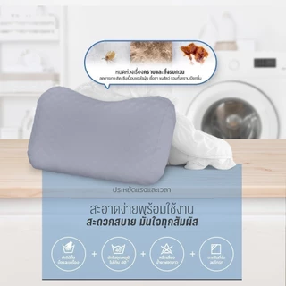 SiamLatex Durian Cover Case ปลอกหมอนยางพารา รุ่น Colorful สำหรับ หมอนยางพารา รุ่น Durian