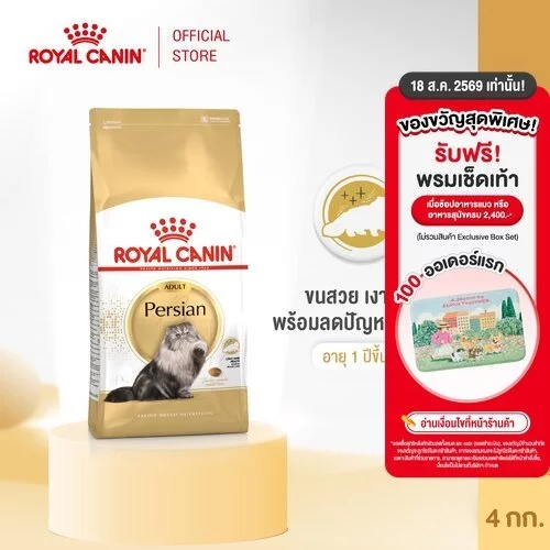 Royal Canin Persian Adult 4kg อาหารเม็ดแมวโต พันธุ์เปอร์เซียน อายุ 12 เดือนขึ้นไป (Dry Cat Food, โรยัล คานิน)
