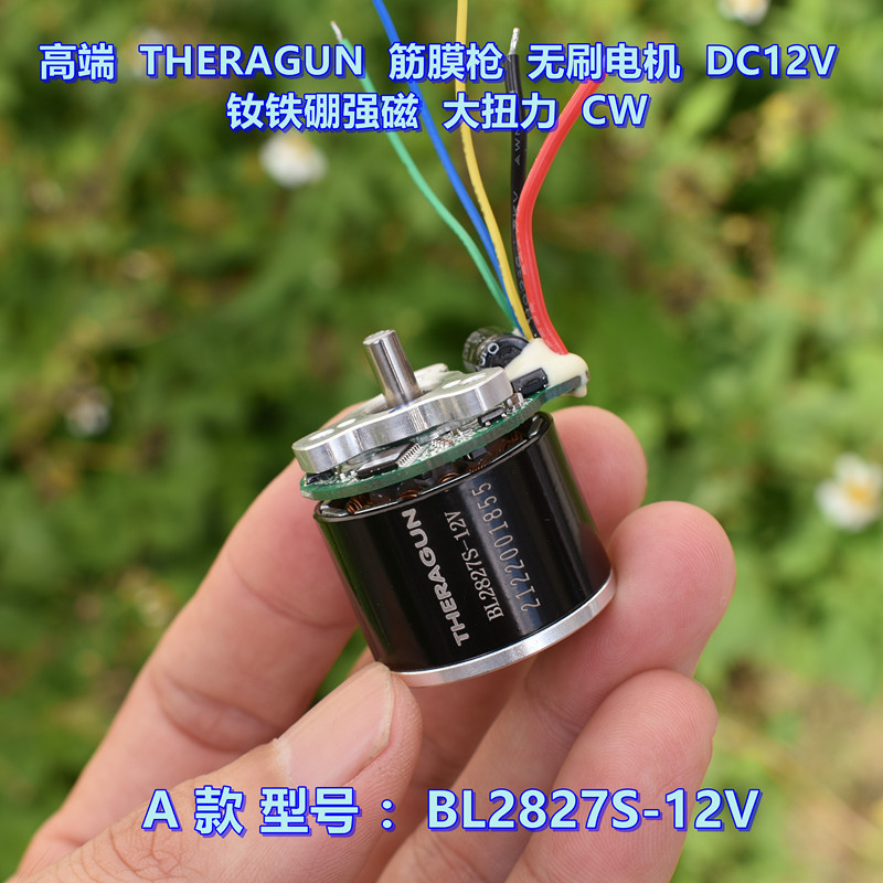 High-End THERAGUN Fascia ปืนมอเตอร์ไร้แปรง DC12V NdFeB แม่เหล็กที่แข็งแกร่งแรงบิดสูง CW