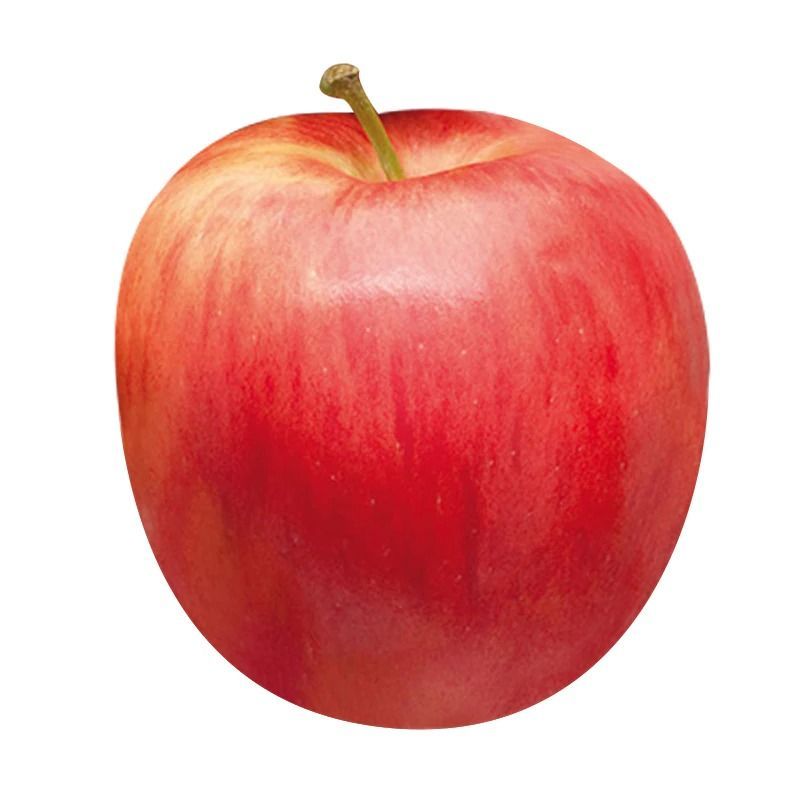 แอปเปิ้ลกาล่าเบอร์  L Gala Apple No.L [หมายเลขบาร์โค้ด 0218683000006]