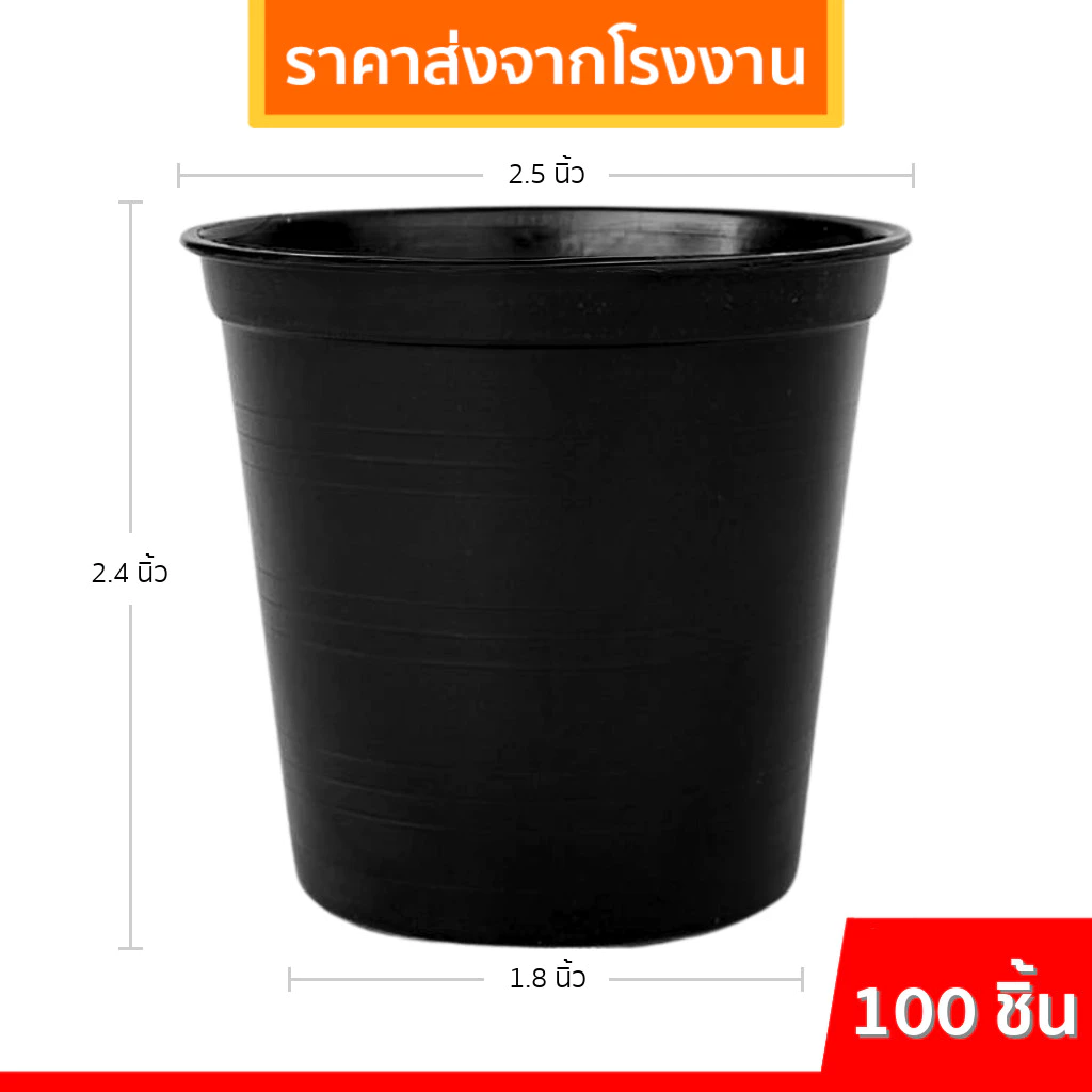 กระถางต้นไม้พลาสติก กระถางต้นไม้ กระถาง 2 2.5 3 4 5.5 6 8 9 นิ้ว ราคาส่ง thumbnail 3