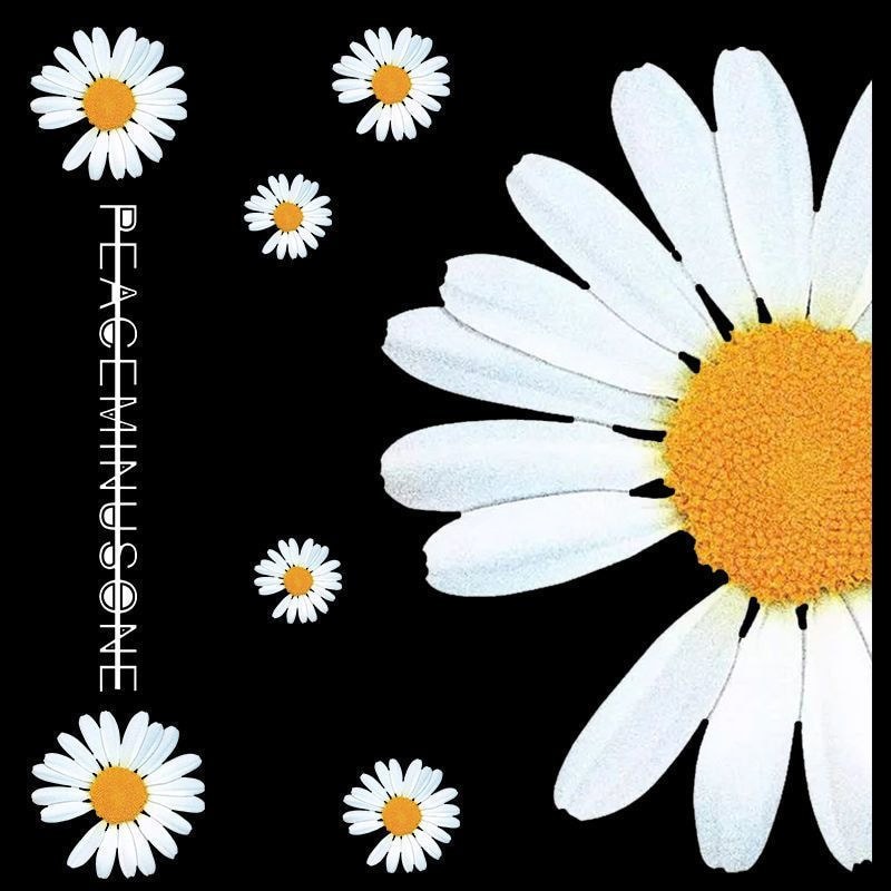 G GD Daisy Stickers สติ๊กเกอร์ติดกระเป๋าเดินทาง Suitcase Trolley Case Whole Large Waterproof Street 