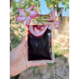 น้ำมัลเบอรี่สกัดเข้มข้น 100% ลูกหม่อน Mulberry juice Nosugar น้ำผลไม้ (ภูดอย) ไม่มีน้ำตาล ชนิดซอง แบบพกพา ปริมาณ 50 ml