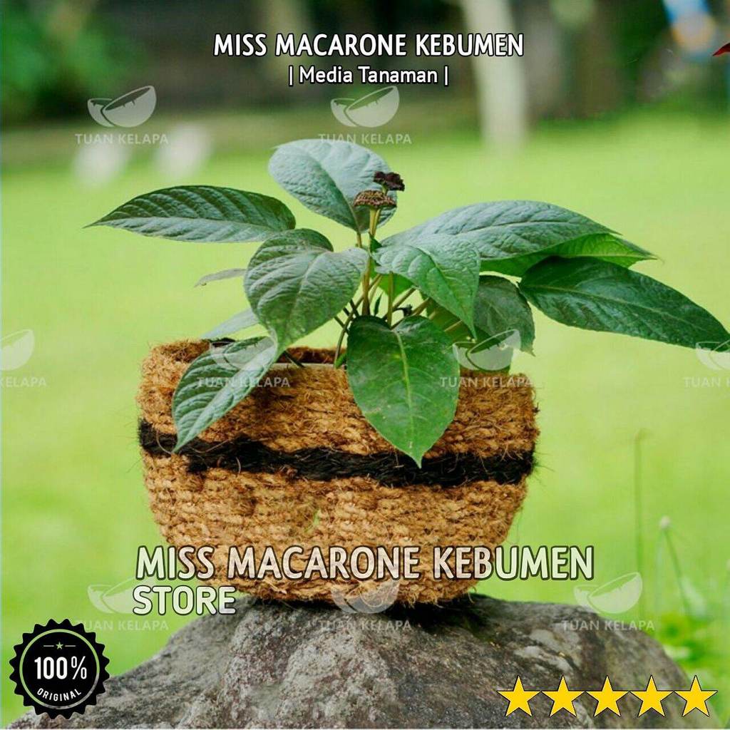 (COCOCRAFT SOUVENIR) BEAUTIFUL COCONUT FIBER SITTING POT ชามขนาดใหญ่ 30CM