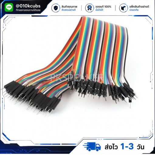 สายแพ (2.54mm) 40 pin to 40 pin (Male-Male) 20 cm สายแพ (2.54mm) 40 pin to 40 pin (Male-Male) 20 cm