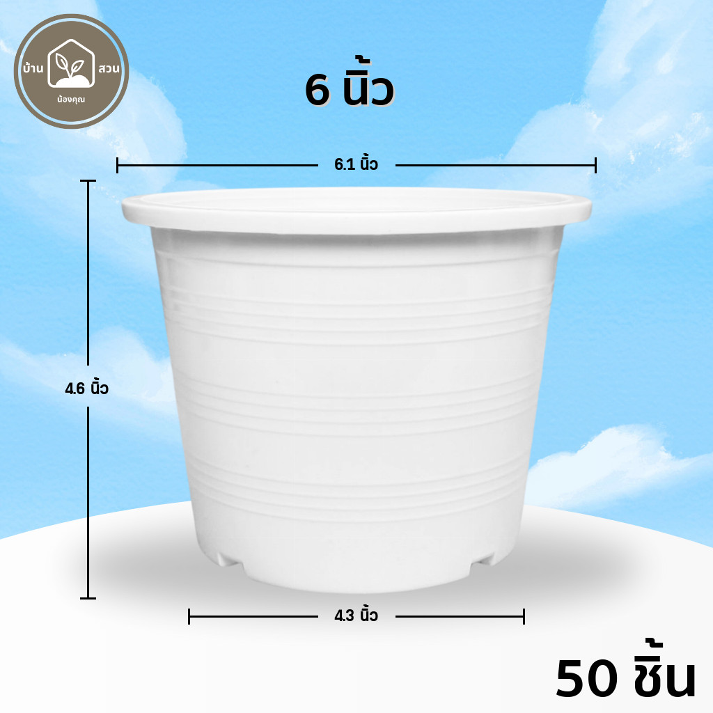 กระถาง 6 นิ้ว สีขาว ยกมัด 50 ใบ