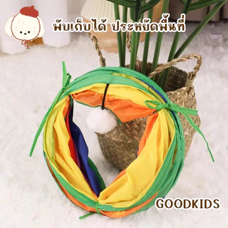 ของเล่นแมว อุโมงค์สีรุ้ง ท่อวิ่ง สำหรับแมว เล่นได้สนุกจากชุด Rainbow