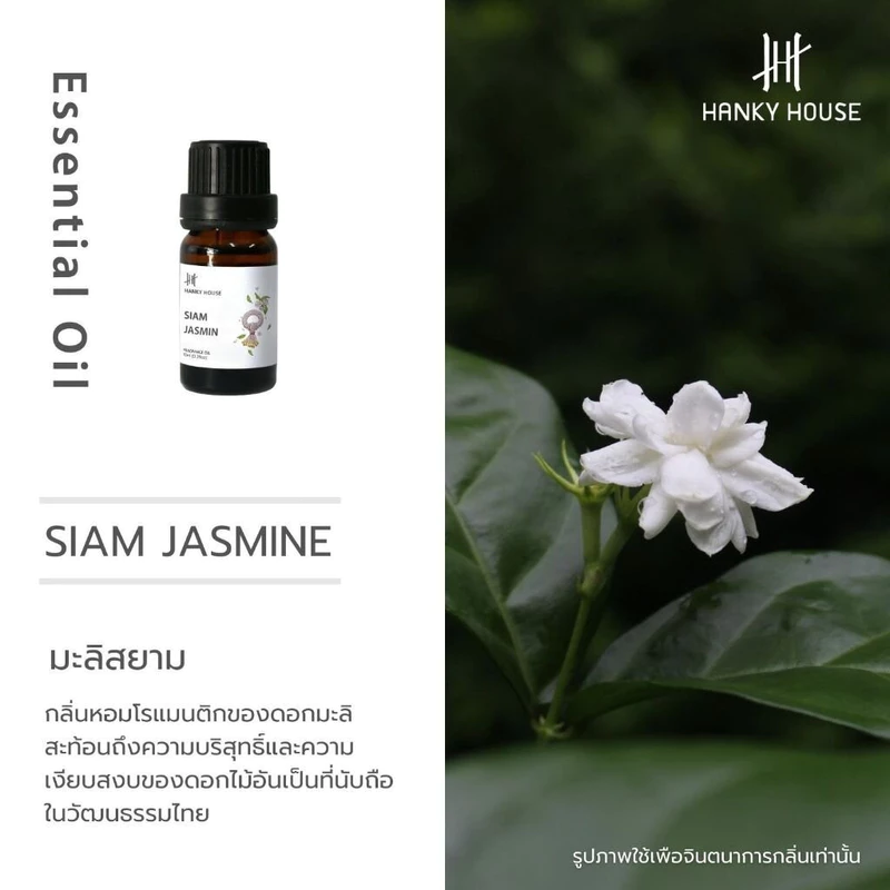 Hanky House น้ำมันหอมระเหย น้ำหอมอโรม่า Perfume Aroma Essential น้ำมันหอม 10ml