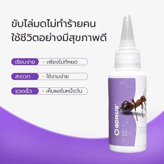 Antiant เจลกำจัดมด แอนติแอนท์ เหยื่อกำจัดมด เจลล่อมด หยดเดียวตายยกรัง 50g/30g เพิ่มปริมานขึ้น