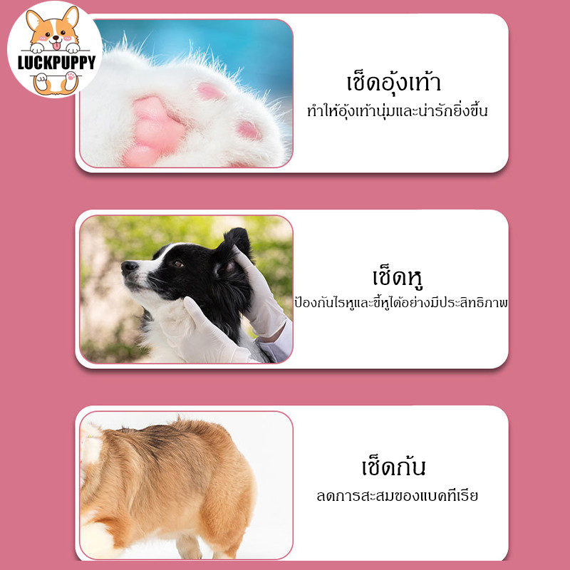 STOCK ✨  ผ้าเช็ดทำความสะอาดสัตว์เลี้ยง สำหรับสุนัข เช็ดรอยน้ำตา ทำความสะอาดร่างกายโดยไม่ต้องล้าง ช่วยลดกลิ่น ไม่ระคายผิว ราคา ถูกที่สุด ดีลบีเคเค แกลเลอรีภาพที่ 5