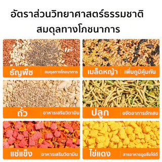 อาหารนกแก้ว 500g อาหารนกแก้วฟอพัส อาหารนกแก้วกรีนชีค อาหารนกเฉพาะ เหมาะสําหรับ อาหารนกค๊อกคาเทล