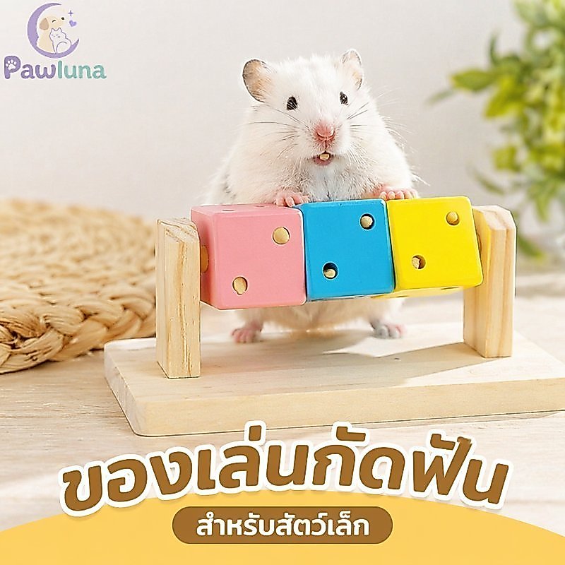 หนูแฮมสเตอร์เคี้ยวของเล่นไม้ลูกเต๋าลูกกลิ้งธรรมชาติเข้าสู่ระบบหมุนฟันออกกําลังกายเบื่อบรรเทา