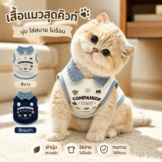เสื้อกล้ามสุนัขแบบ POLO น่ารัก เสื้อแมว ระบายอากาศ สวมใส่ได้ทุกโอกาส ชุดสัตว์เลี้ยงน่ารัก แบบบางสำหรับฤดูร้อน