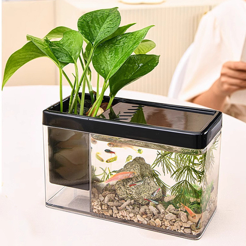 [Spot Goods]  Transparent Desktop Mini Ecological Fish Tank  Aquarium for growing green plants and o