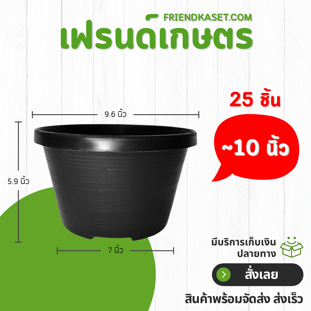 กระถาง กระถางทรงถ้วย กระถางเตี้ย ขนาด เบอร์ 10 9.5 นิ้ว สีดำ ยกมัด 25 ใบ