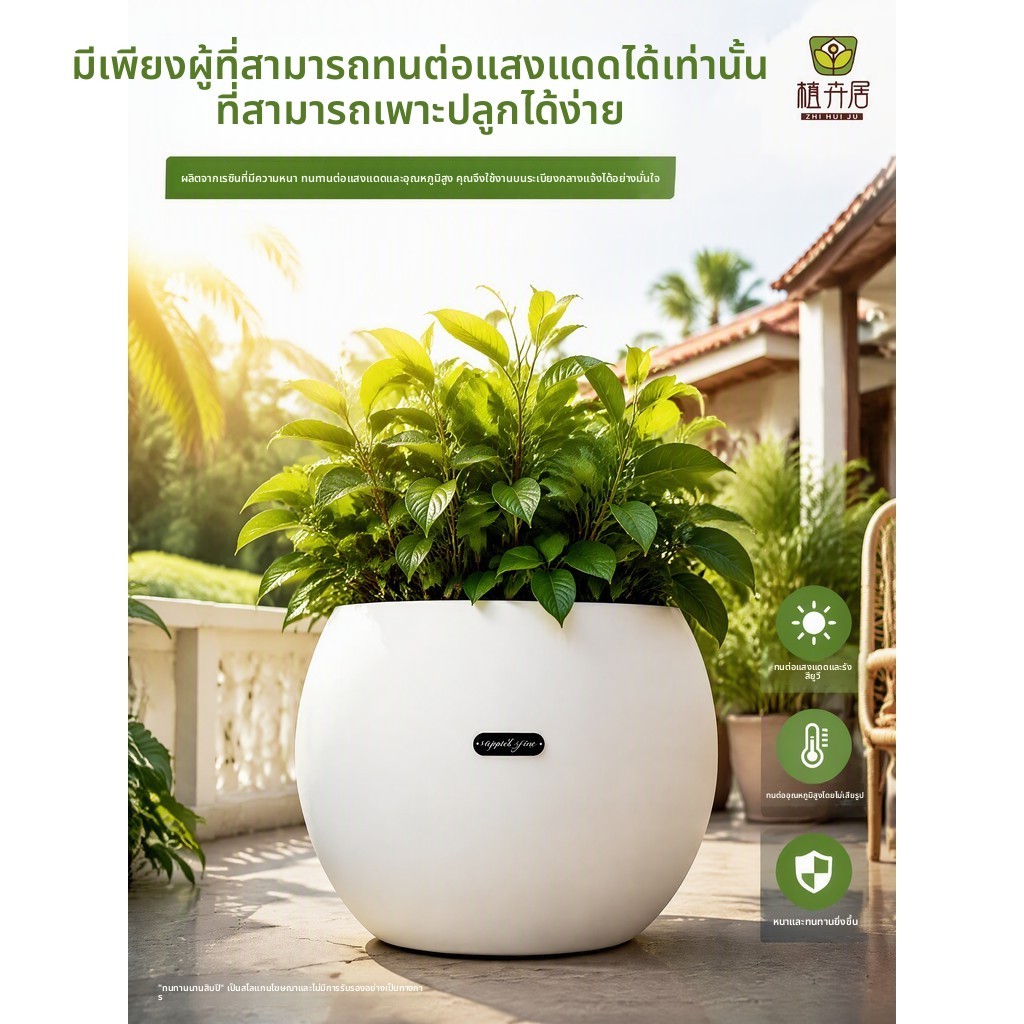 กระถางต้นไม้ 7ขนาด ไม้ ตกแต่งบ้าน ทนทาน ใช้งานง่าย คุณภาพดี รดน้ำต้นไม้ สวนสวย