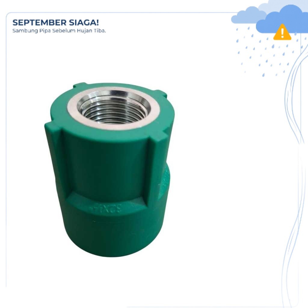 Lesso - ผู้หญิงทํางาน ADAPTER 1 PPR LESSO 20 มม. x 1/2 นิ้ว - socxfipt พร้อมโลหะแทรก 71387
