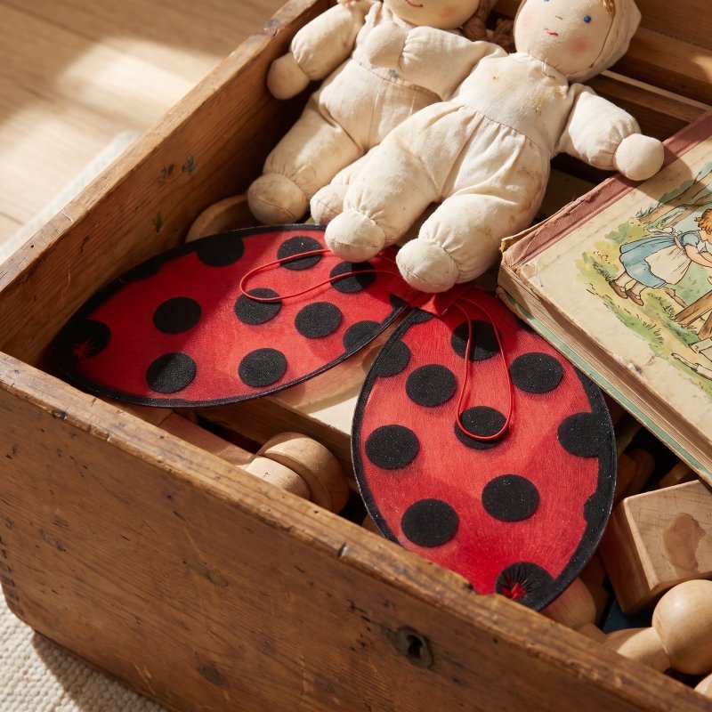 ตาข่ายคอสเพลย์ปีก Ladybug เด็กเครื่องแต่งกาย Ladybug ปีกสาว Ladybug เครื่องแต่งกายเด็ก Ladybug Wing 