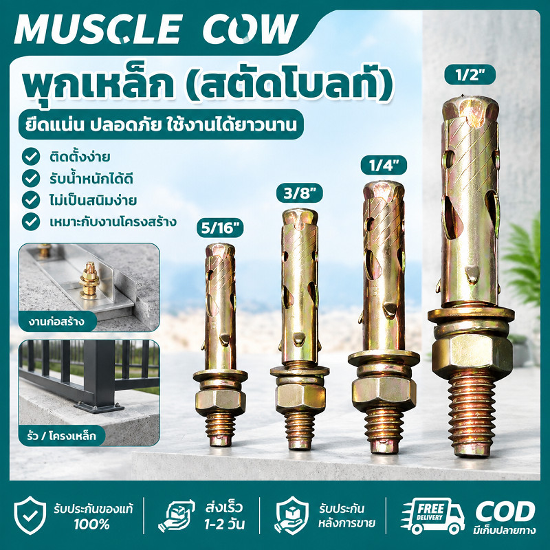 MUSCLE COW พุกเหล็กสตั๊ดโบลท์ 5/16" 3/8" 1/4" 1/2" ป้องกันสนิม แข็งแรงทนทาน