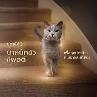 Sheba ชีบา อาหารเปียกแมว เกรดพรีเมี่ยม ขนาด 70 กรัม [ยกโหล 12 ซอง]