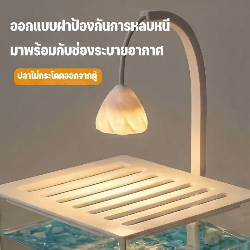 ตู้ปลากัด อะคริลิกใส ตู้ปลาเล็ก ตั้งโต๊ะ ไฟ LED รูปที่ 8