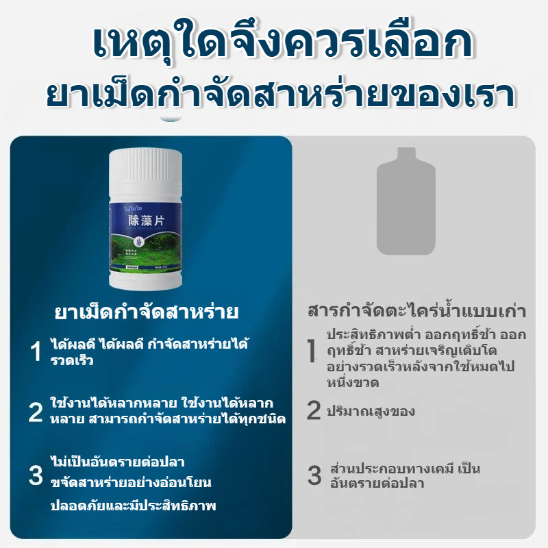 เม็ดกำจัดตะไคร่ ขจัดตะไคร่และสาหร่ายอย่างมีประสิทธิภาพ รูปที่ 7