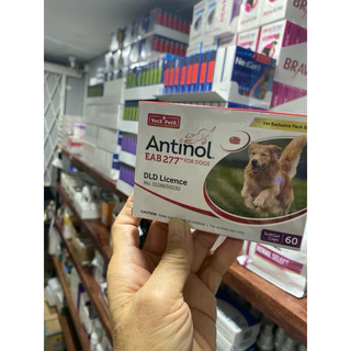 Antinol 60 แคปซูล ของแท้!! แพ็คเกจใหม่ อาหารเสริมบำรุงข้อ ข้ออักเสบ 1 กล่องบรรจุ 60 เม็ด