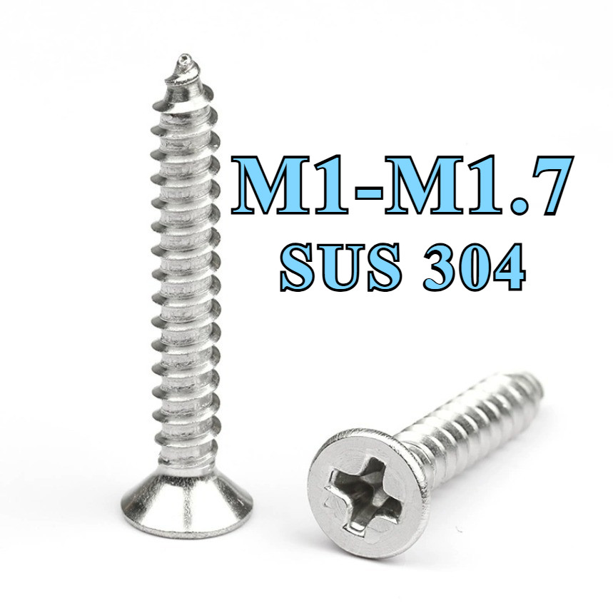 304 สแตนเลสสตีล Cross Offed Countersunk Self Tapping สกรู- M1/M1.2/M1.4/M1.7*L=3-16MMZHX-SZG-WJ-1
