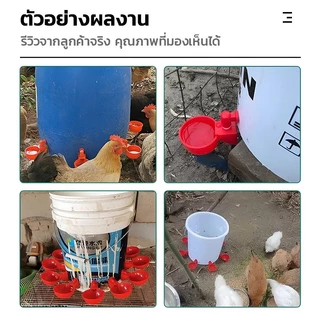 ชามดื่มน้ำไก่อัตโนมัติ 6/12/24ชิ้น ถังให้อาหารไก่ วัสดุPP แบบหนีบแขวน สำหรับไก่เป็ดห่านนกกระทา ป้องกันคุ้ยเขี่ย ลดน้ำหก