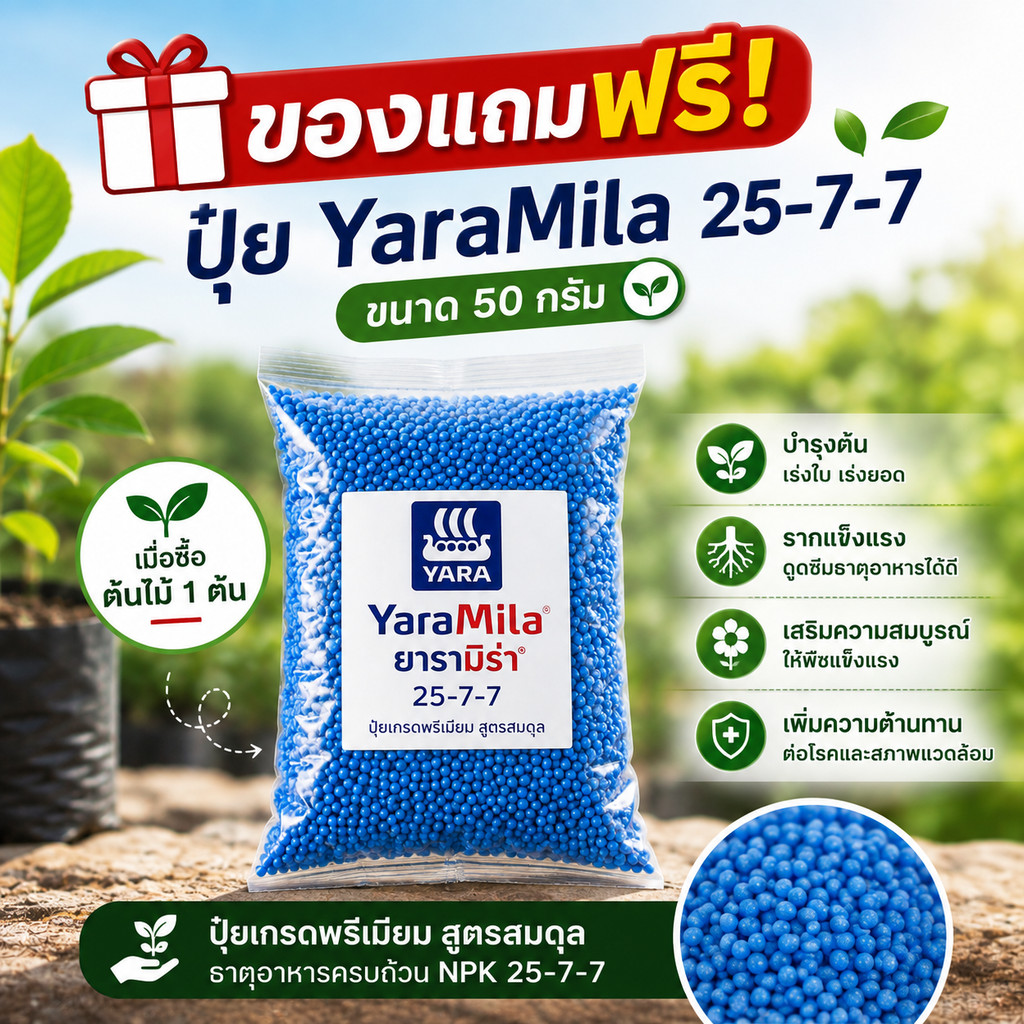 [ของแถม - ไม่จำหน่าย] ปุ๋ย Yara 25-7-7 ปุ๋ยเร่งใบ เร่งการเจริญเติบโต บำรุงต้นและใบ แบบบรรจุ 50 กรัม